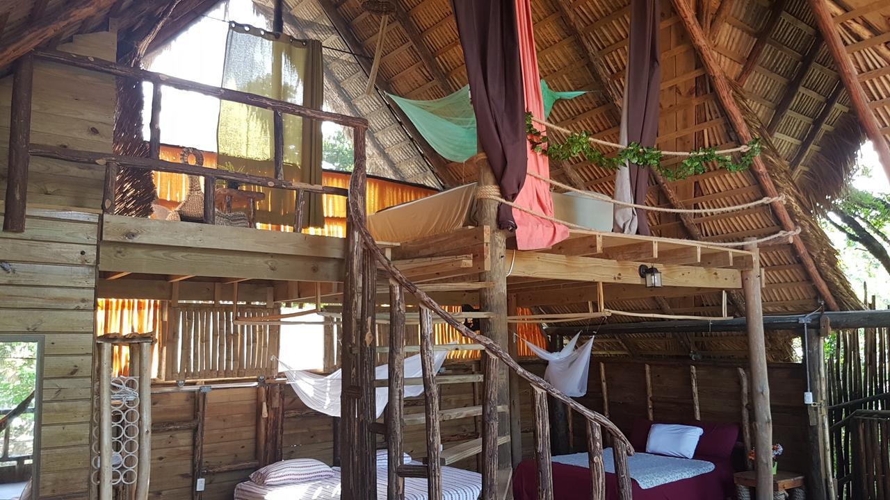 Cabarete Maravilla Eco Lodge & Beach La Mulata Exterior photo